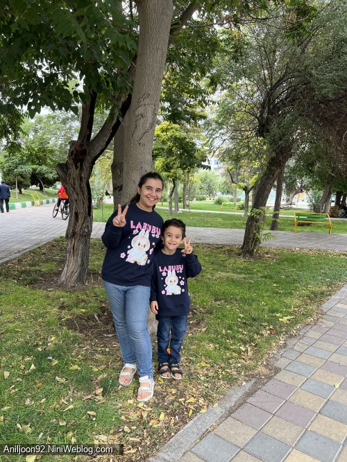 آنیل سؤون لر