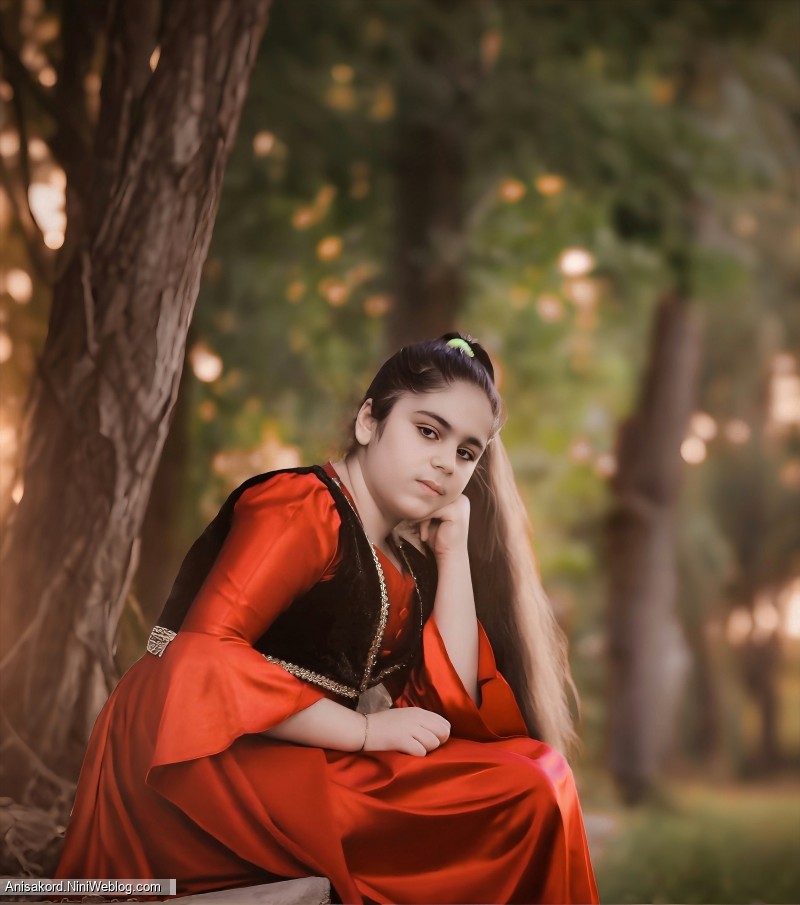 Anisa