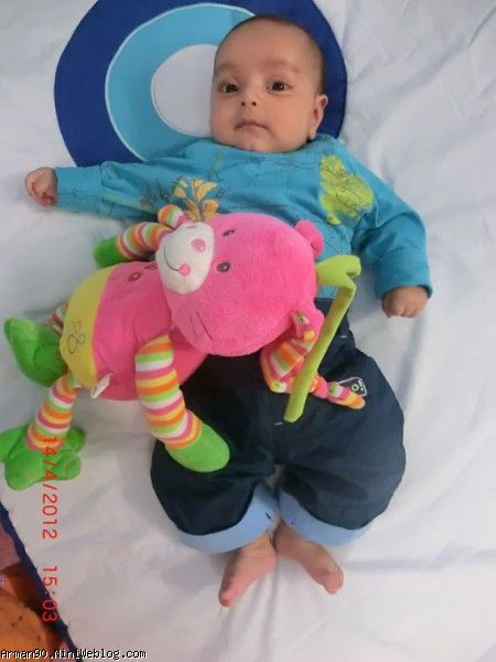 این خرگوش زبله است
