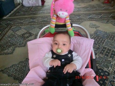 خرگوش زبله هم اومده بود