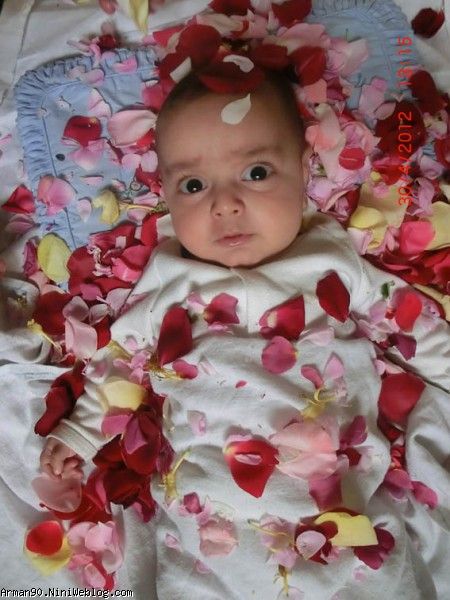 گل و گلها