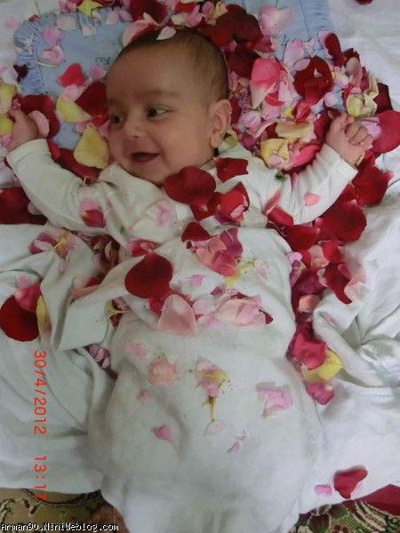 گل و گلها