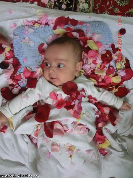 گل و گلها