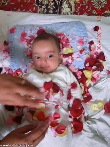 گل و گلها