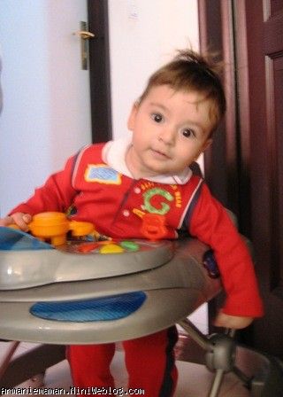 دالی 