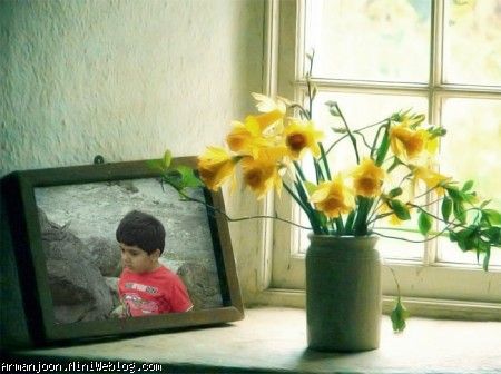 تقدیم به امید زندگیم