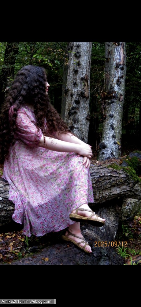 سیزده سالگی آرنیکا🎊