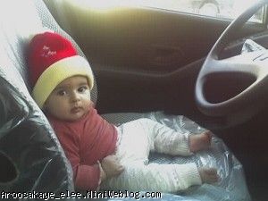 غزل نه ماهه