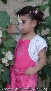 غزل سه ساله