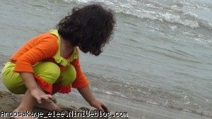 شمال