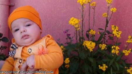 آوا توی حیاط عزیز جون و باباطلا