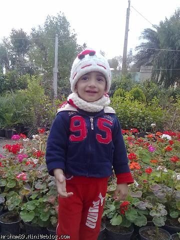 عسل در گل فروشی