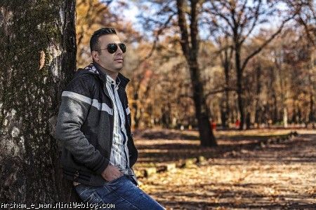 یک خبر خوب از جشنواره فیلم فجر