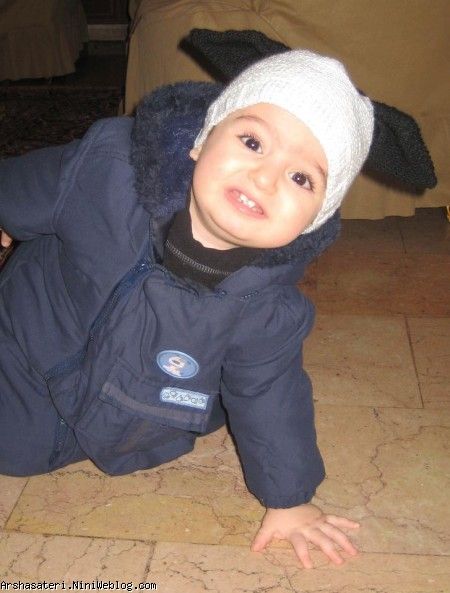 آرشا ببی