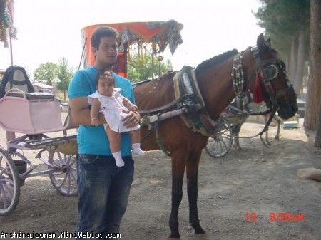 آرشينا و دائي مصطفي (عطار)