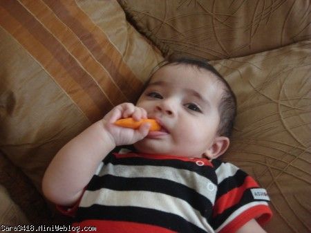هویج