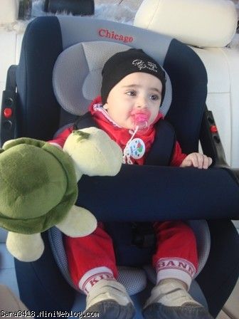 آرتین