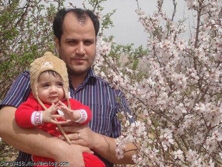 شکوفه های بهار