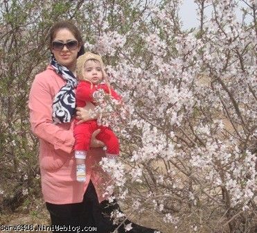 شکوفه های بهار