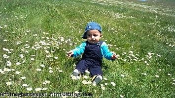 ماکو