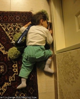 جوجه کوچولوی من