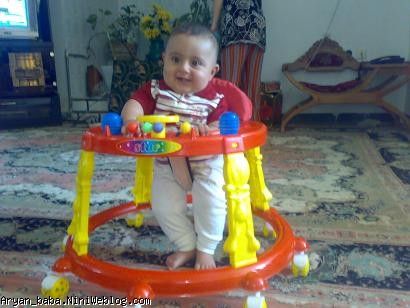 گل پسري 