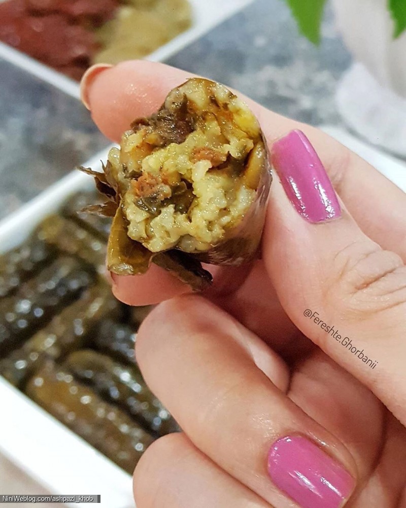 طرز تهیه دلمه برگ مو (2)