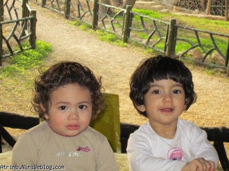 گوگولیا