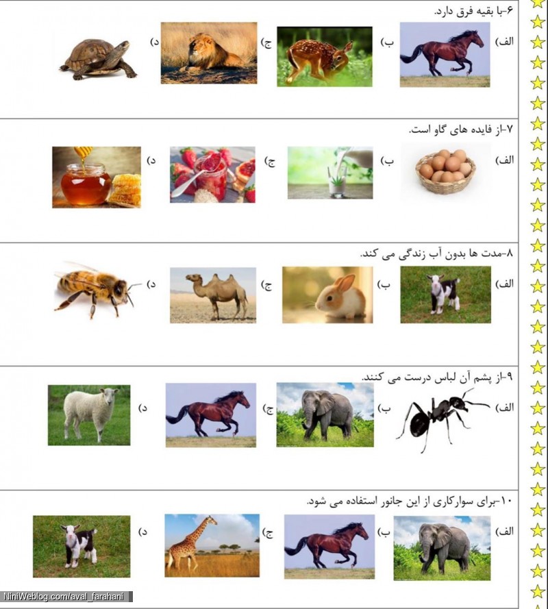 نمونه سولات تستی علوم اول از فصل یک تا فصل چهارم (8)