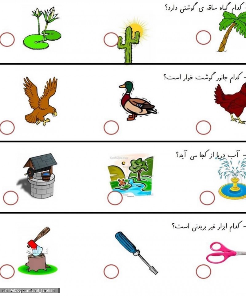 نمونه سوالات علوم پایه اول برای آمادگی آزمون پایانی (3)