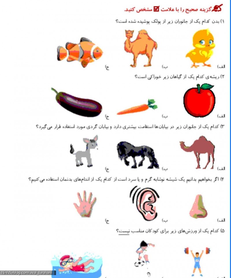 نمونه سوالات علوم پایه اول برای آمادگی آزمون پایانی (7)