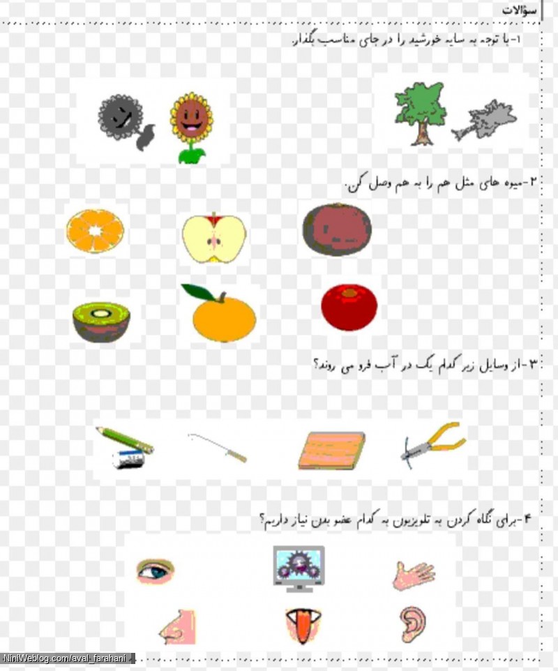 نمونه سوالات علوم پایه اول برای آمادگی آزمون پایانی (8)