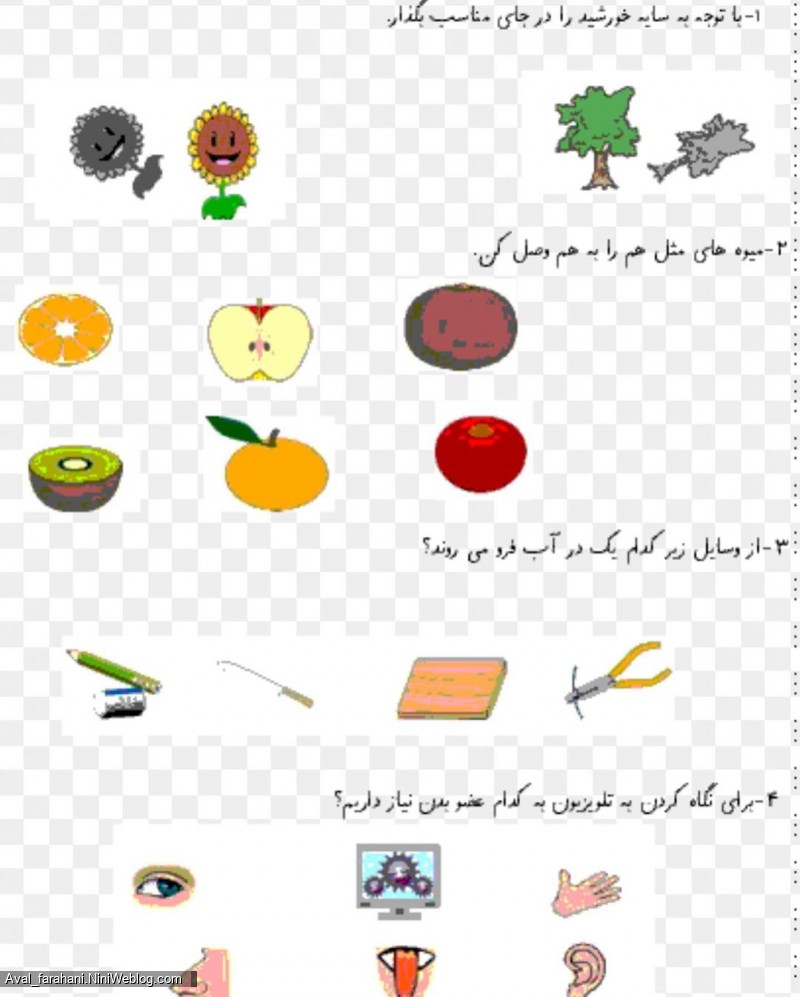 فصل اول علوم پایه اول (8) 
