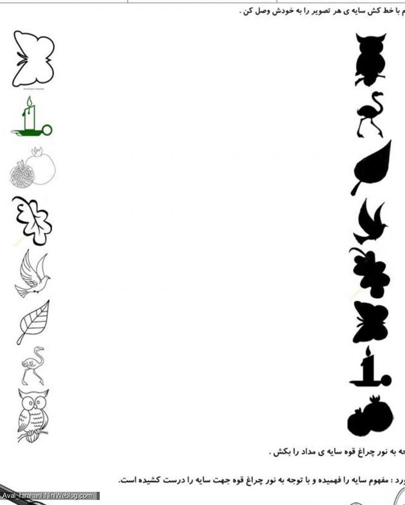 فصل اول علوم پایه اول (10) 