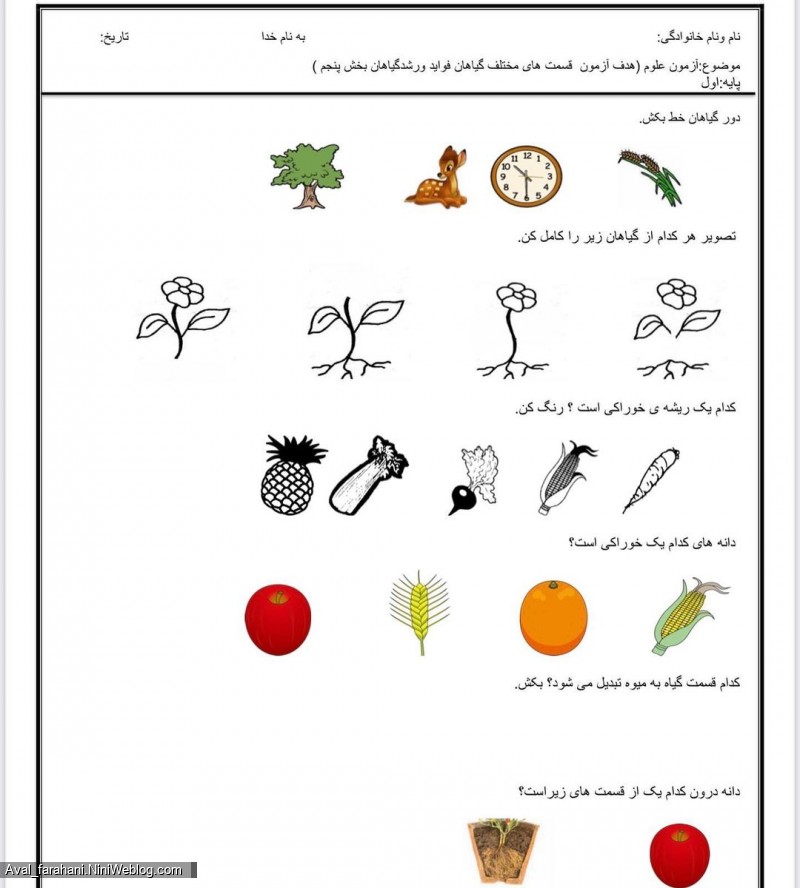 نمونه سوالات علوم پایه اول دبستان - 6