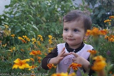 پاییز