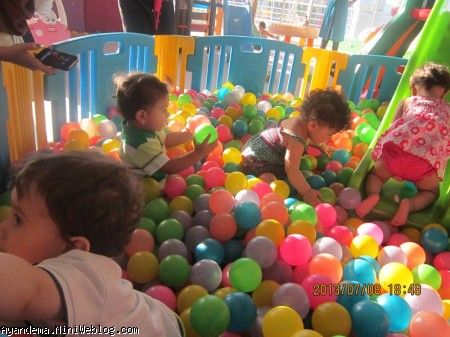 ژوان،سلما،سام،سانیار 