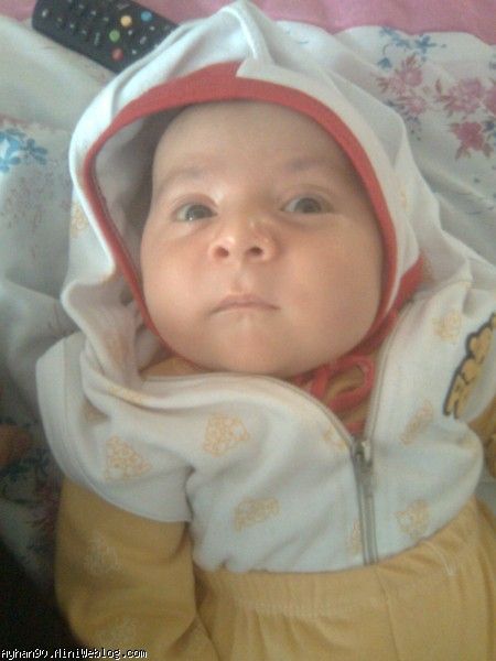 تپلی
