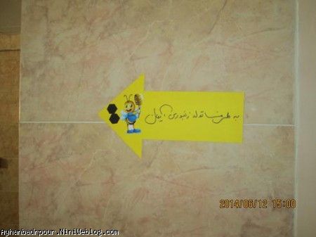 فلش