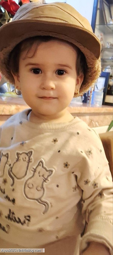 آیسو در دی 1404