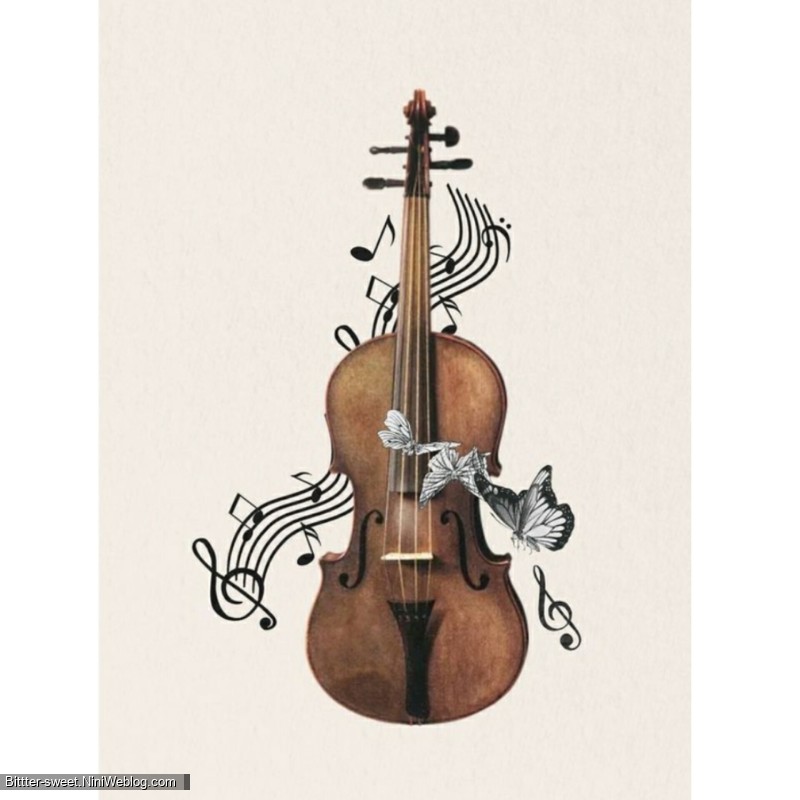 🎼🎻