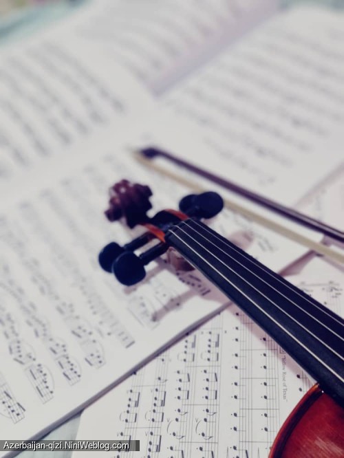 🎼🎻✨