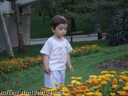 پارک ملت