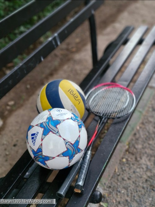 🍃🏐