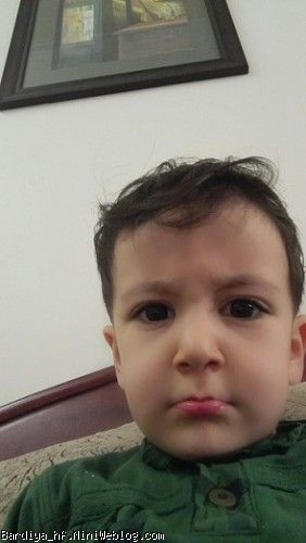 بردیا