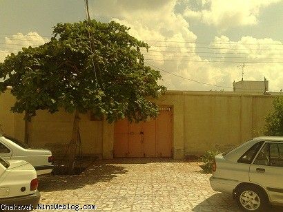 حیاط
