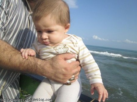 صدف و دریا