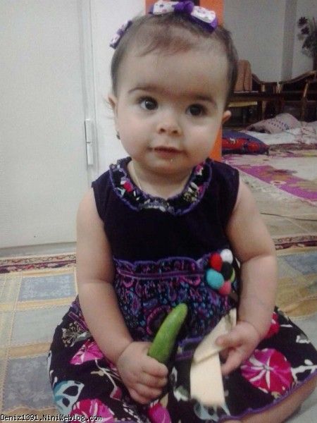 نی نی