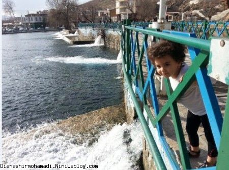 دیانا قند عسل