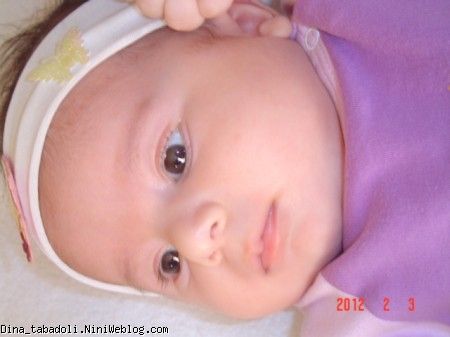 dina